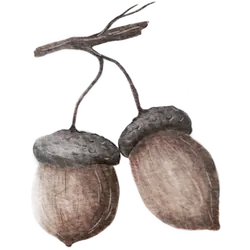 A propos 1 Articles de blog