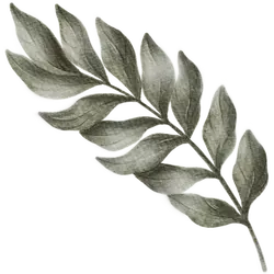 A propos 2 Parcours avancés