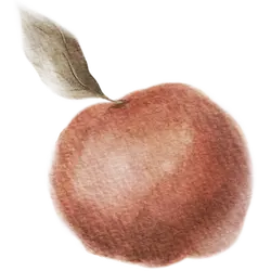 A propos 3 Ressources gratuites