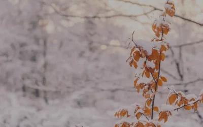 Quand le journaling accompagne les changements qui s’installent