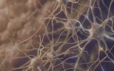 Quand le journaling accompagne un esprit qui fonctionne autrement